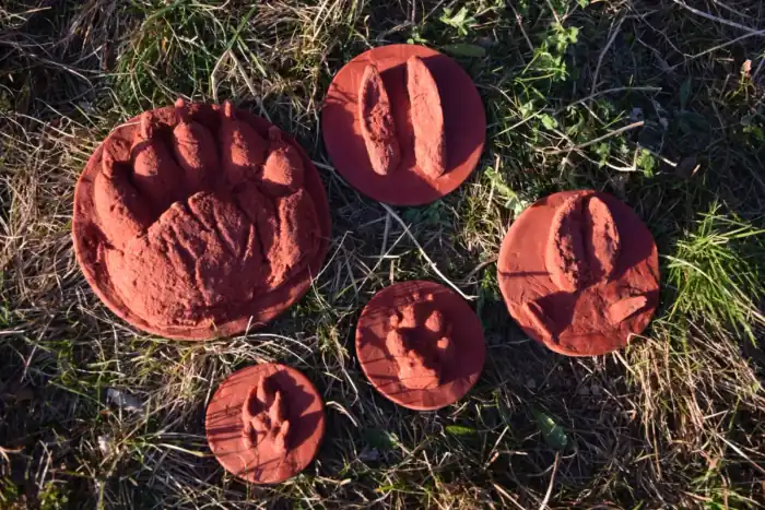 Tečaj preživetja 2