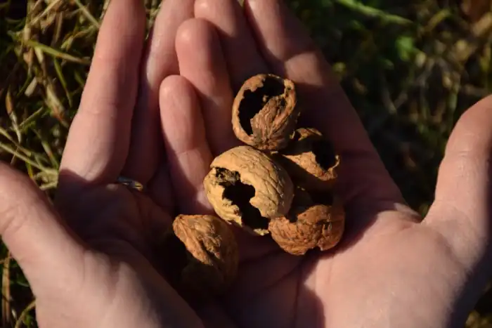 Tečaj preživetja 4