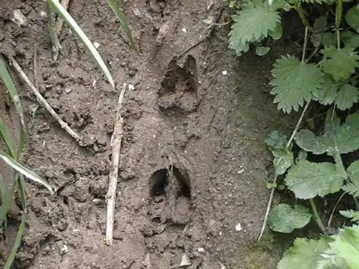 Tečaj preživetja 6