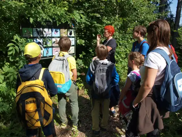 Tabor - fotografija 5