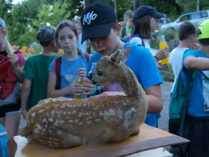 Tabor - fotografija 32
