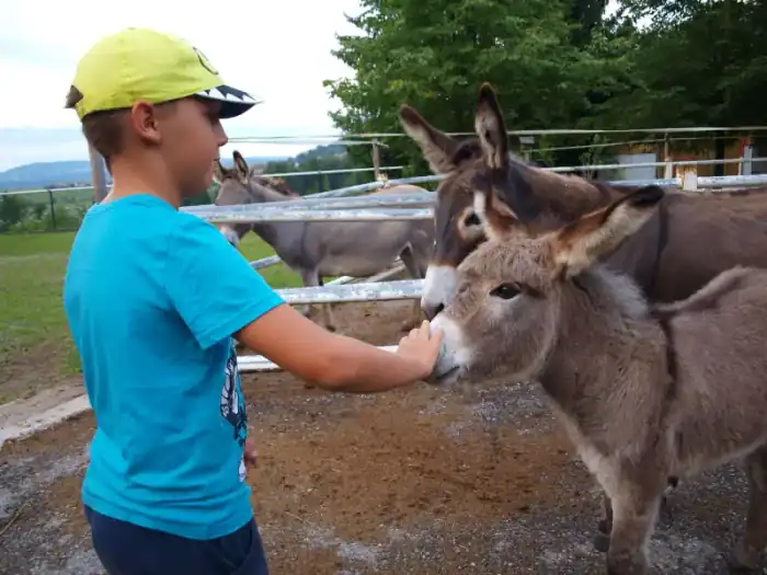 Tabor - fotografija 34
